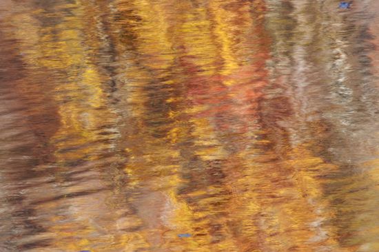Little River Canyon National Preserve;Patterns;Abstract;Reflections;Seasons;Yellow;Fort Payne;Reflection;Fall;Abstractions;Autumn;Tan;Gold;Brown;Shapes;Alabama;Orange;Textures